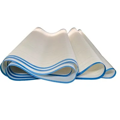 Double Layer Dryer Screen Mesh Belt