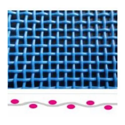 Polyester Mesh Fabric Conveyor Belt